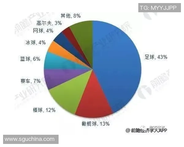 足球批发市场新趋势分析与未来发展前景探讨